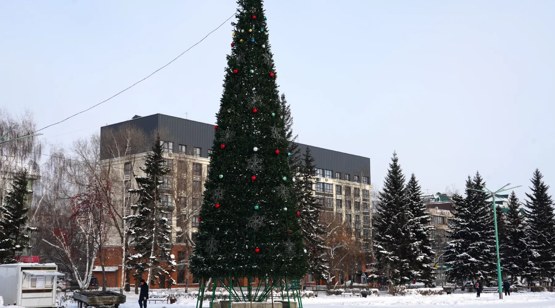 Елка. Новый год. Новогодний городок. Новогодняя елка
