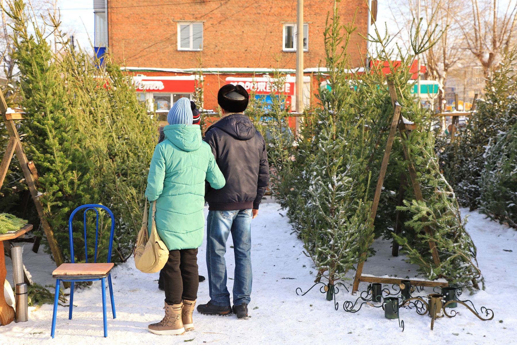 Елочный базар. Новый год. Ель