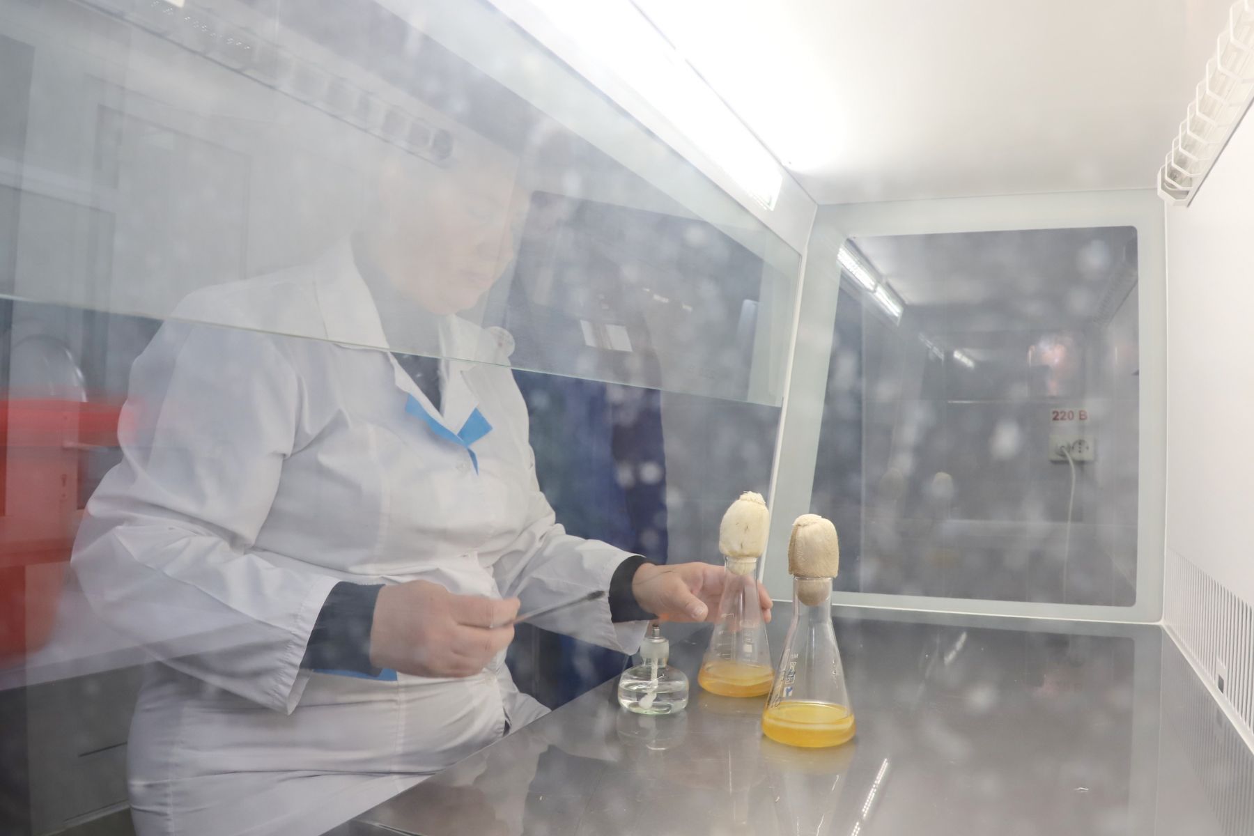 Лаборатория ИПХЭТ СО РАН.  