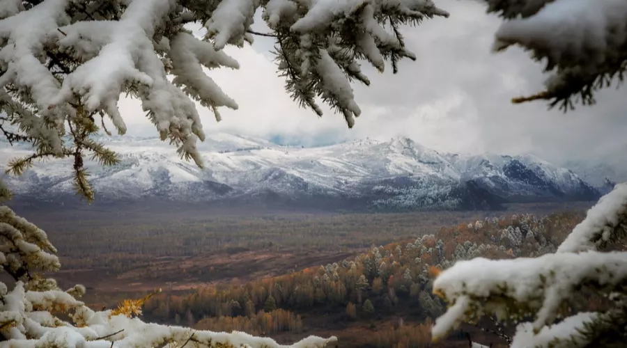 Не первый снег: бийчане фотографируют осенне-зимние пейзажи 