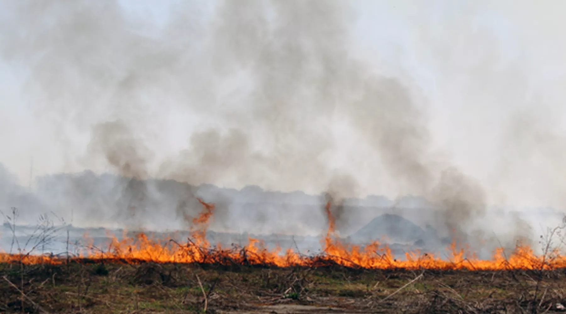 Пожароопасный сезон в Алтайском крае закончен 