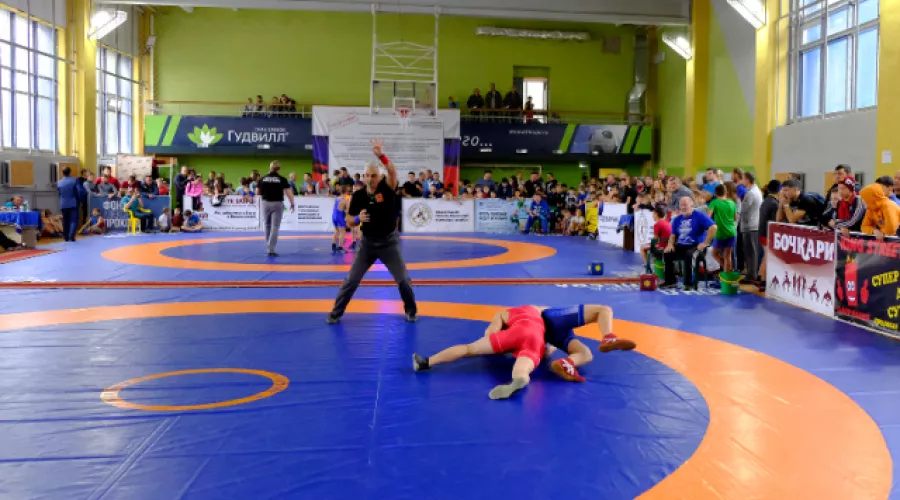 Традиционные соревнования собрали в Бийске больше 300 борцов