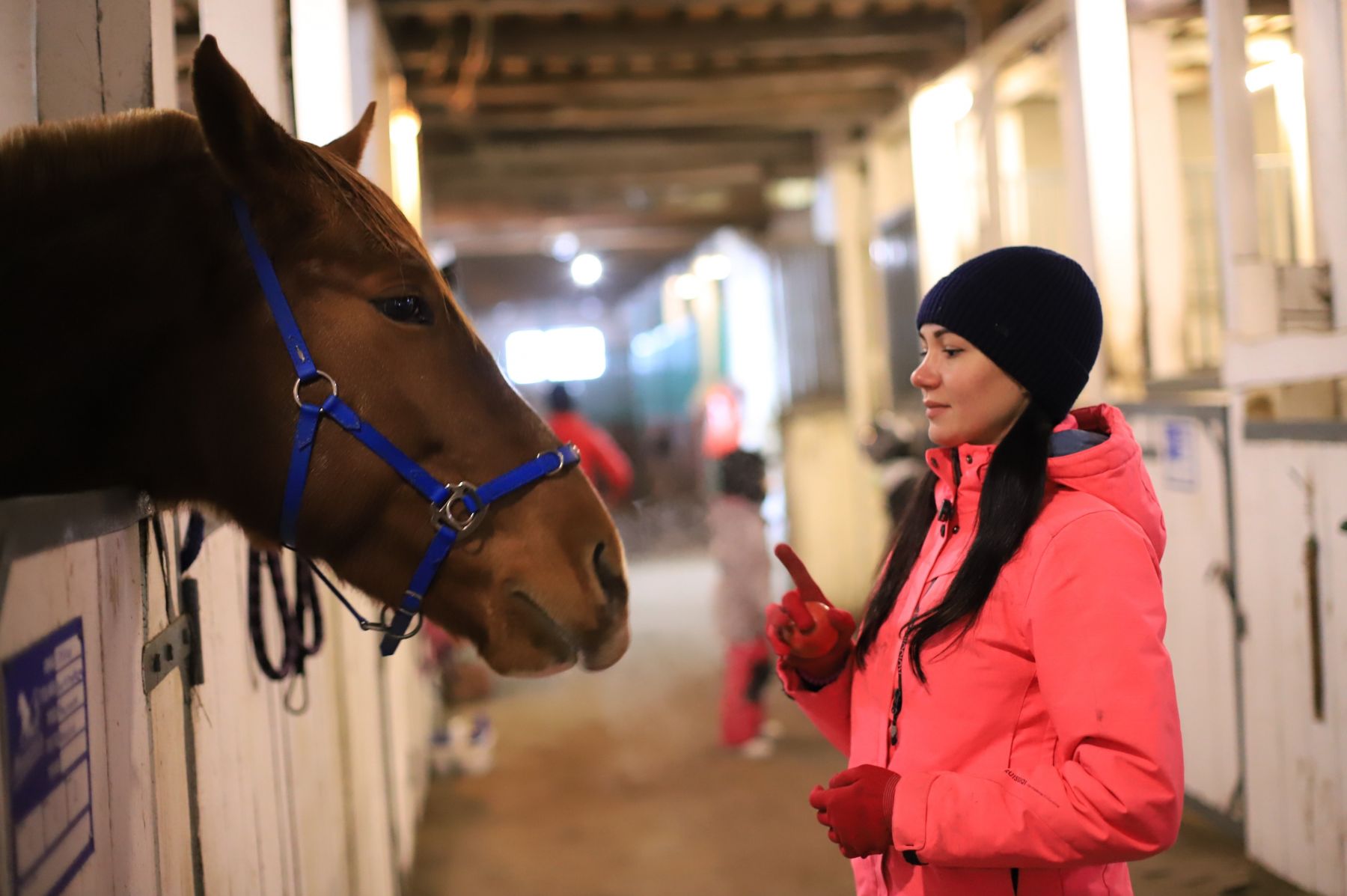 Конный клуб.