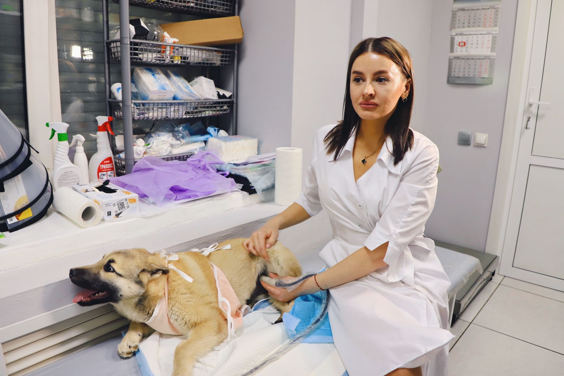 Ветеринарный кабинет.