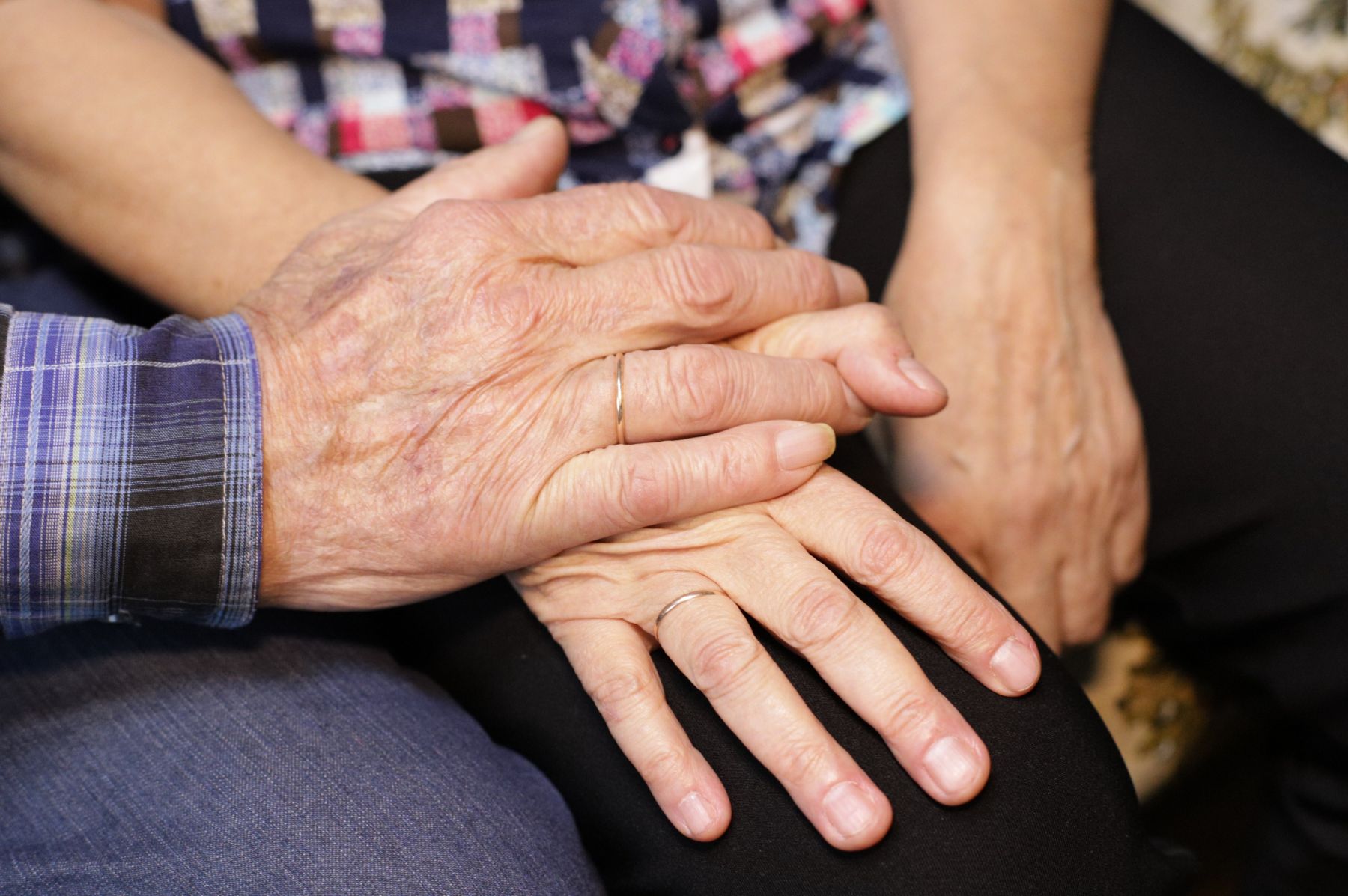 Дом престарелых. Молодожены.