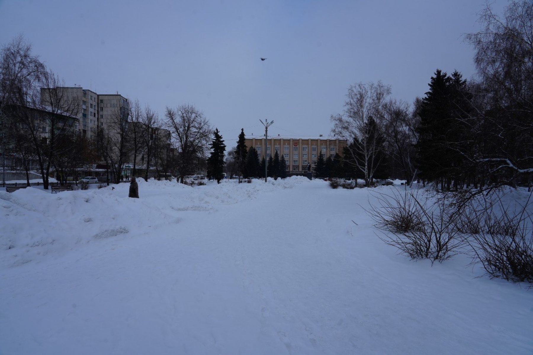 Какие парки и скверы обновят в Бийске в 2026 году