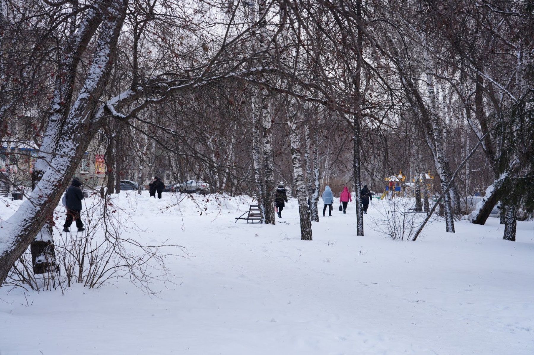 Какие парки и скверы обновят в Бийске в 2026 году