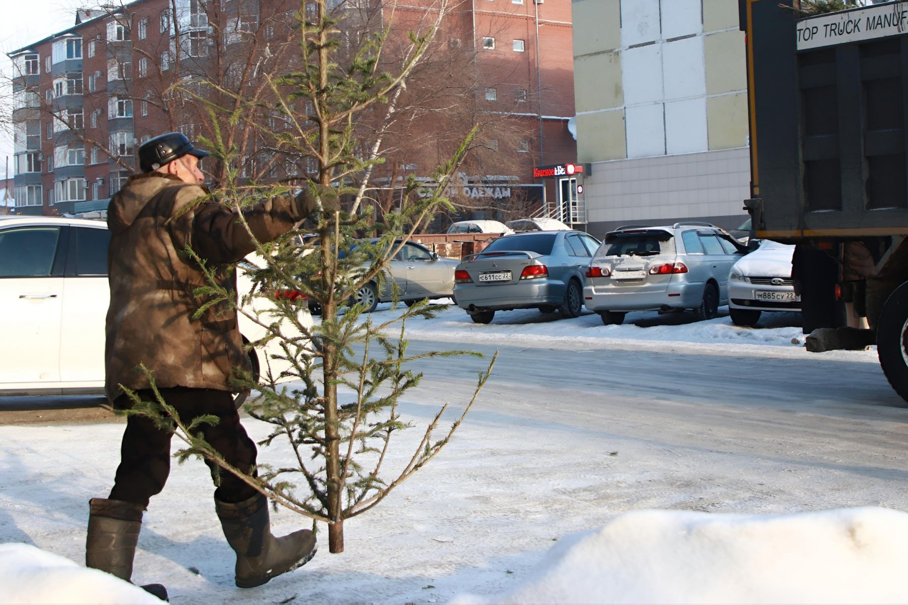 Акция "Елочный круговорот".