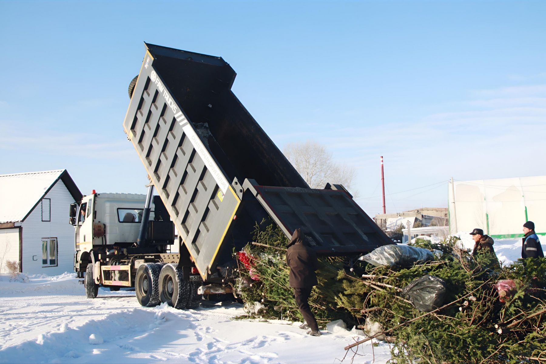 Акция "Елочный круговорот".