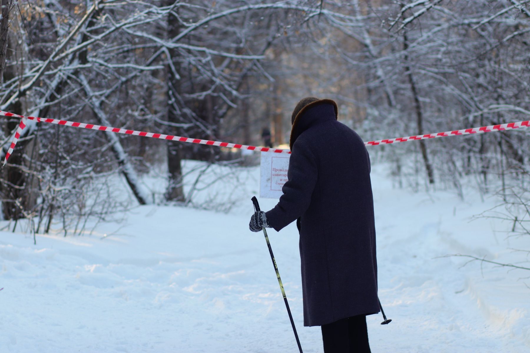 Тяжело остаться равнодушным, когда видишь, как падает только что срубленное дерево