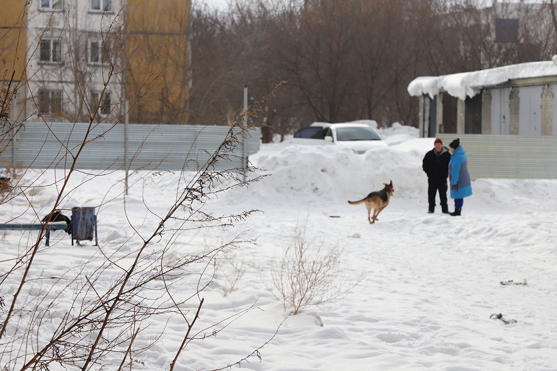 Дома на ул. Спекова после расселения. 