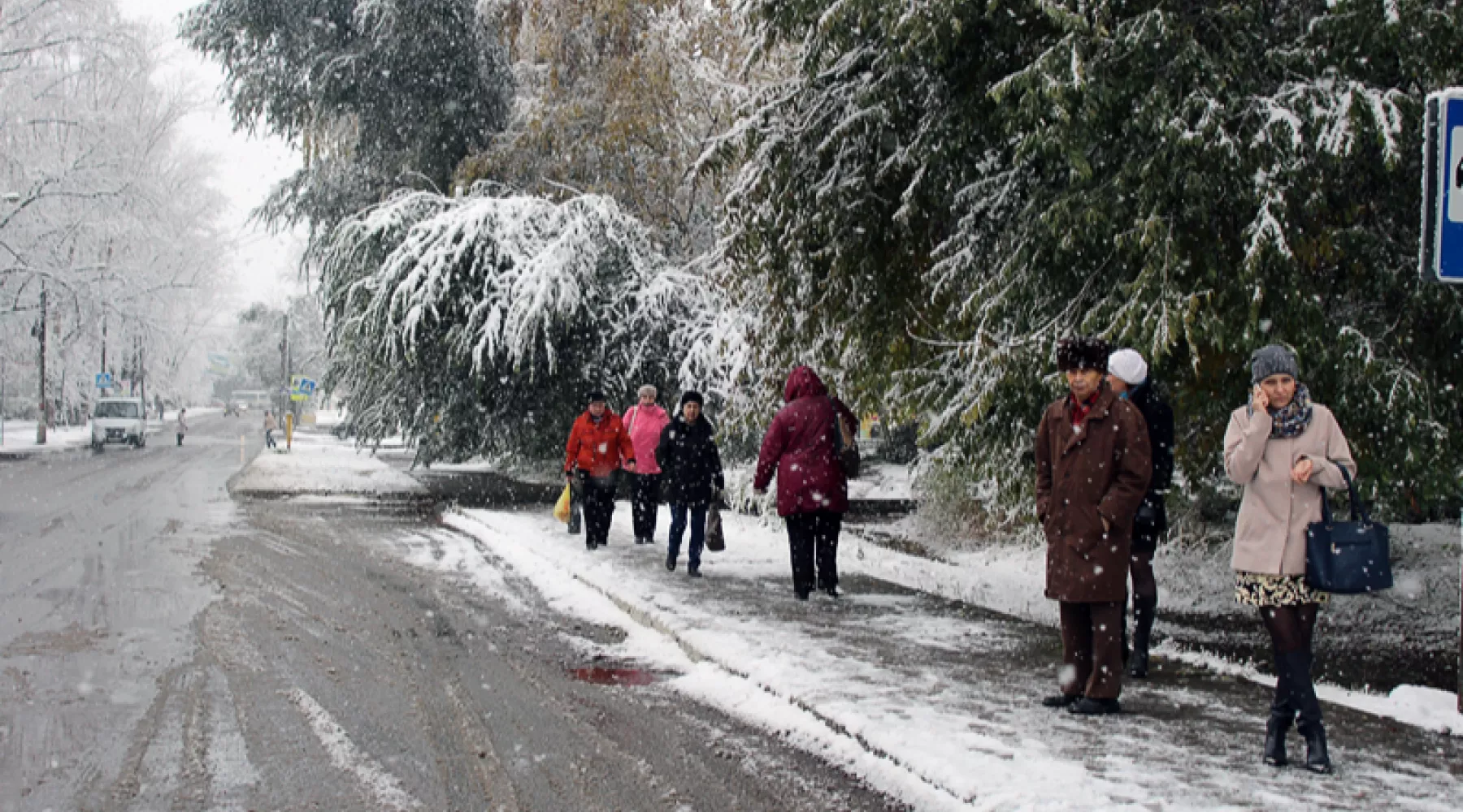 Зима. Мороз. Снег. Иней.