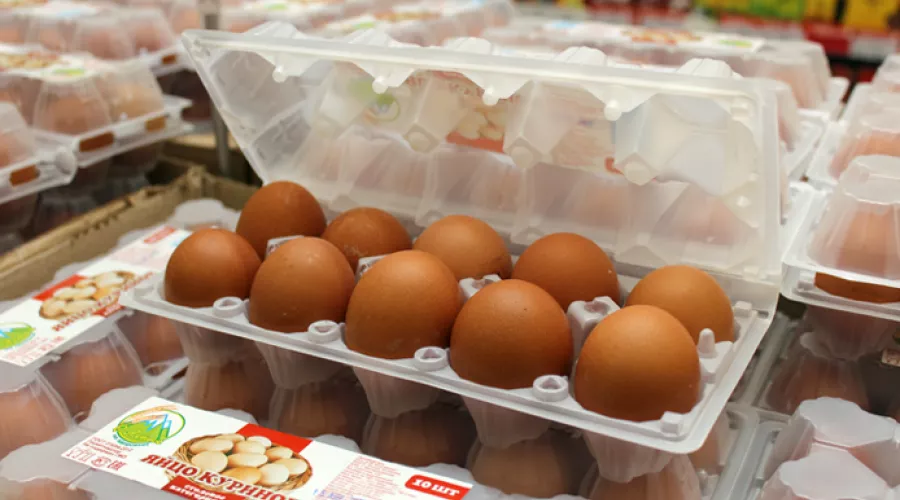 Производство яиц растет в Алтайском крае 
