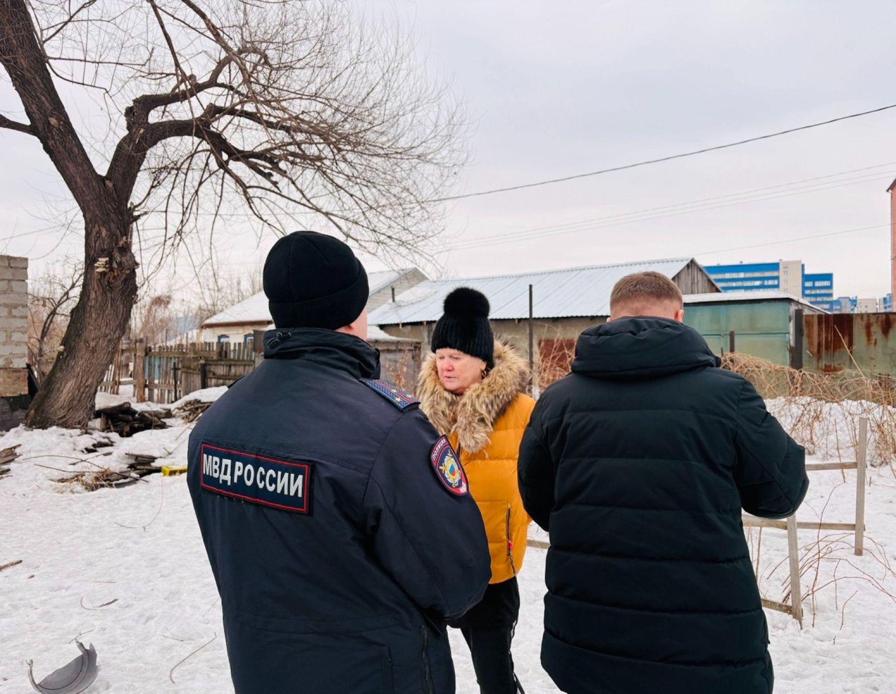В частном секторе стреляли в собаку