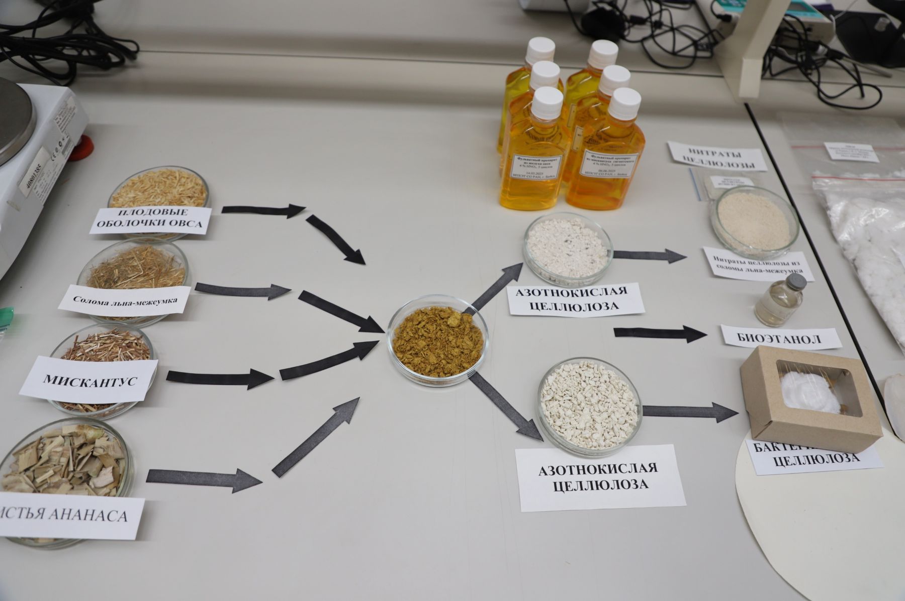 Процесс получения целлюлозы