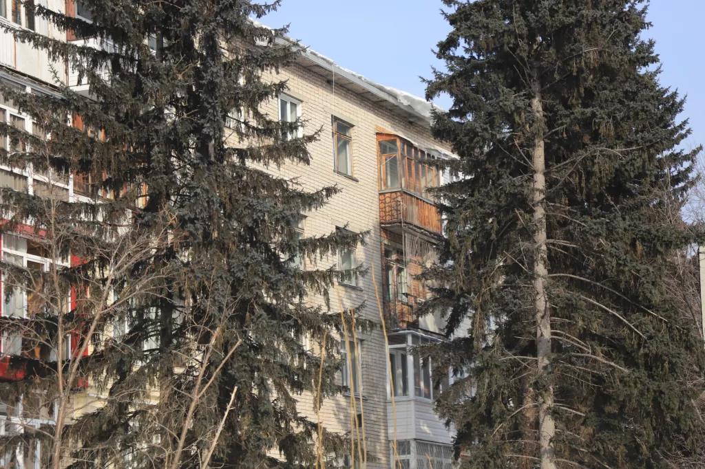 Россияне едут с семьями в Воркуту и покупают квартиры по ультранизкой цене - Информационный портал "Бийский рабочий", 16.03.2026