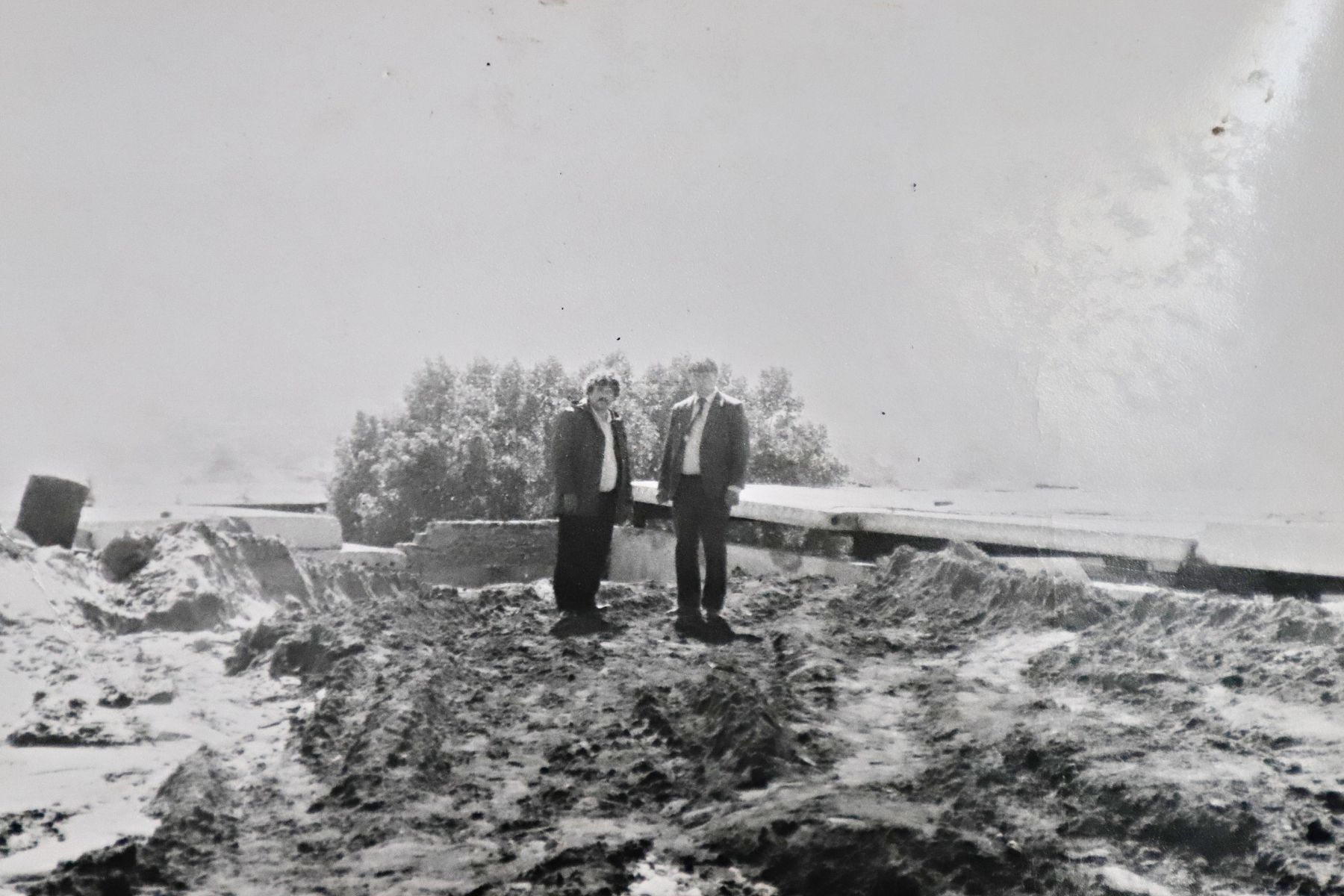 Братья Щигаревы.