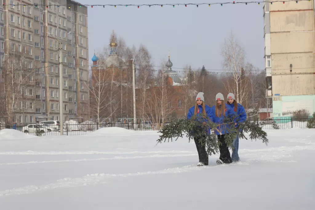 В коня корм: в Бийске последнюю новогоднюю елочку отправили на переработку - Информационный портал "Бийский рабочий", 13.03.2026
