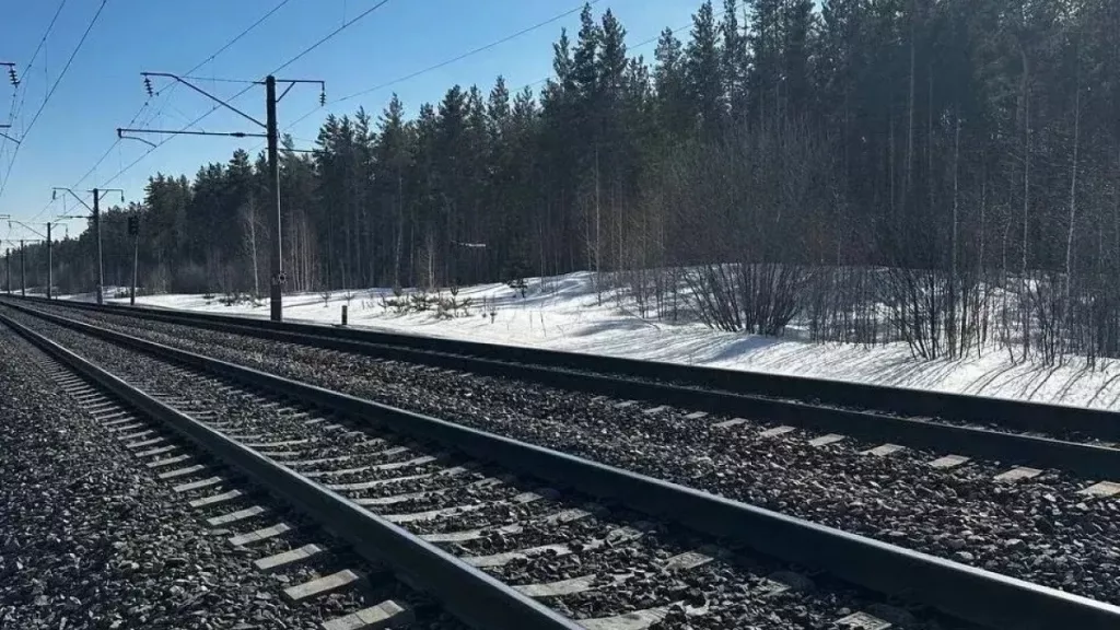 В Алтайском крае пьяный пешеход столкнулся с поездом В Алтайском крае пьяный пешеход столкнулся с поездом - Информационный портал "Бийский рабочий", 21.03.2026
