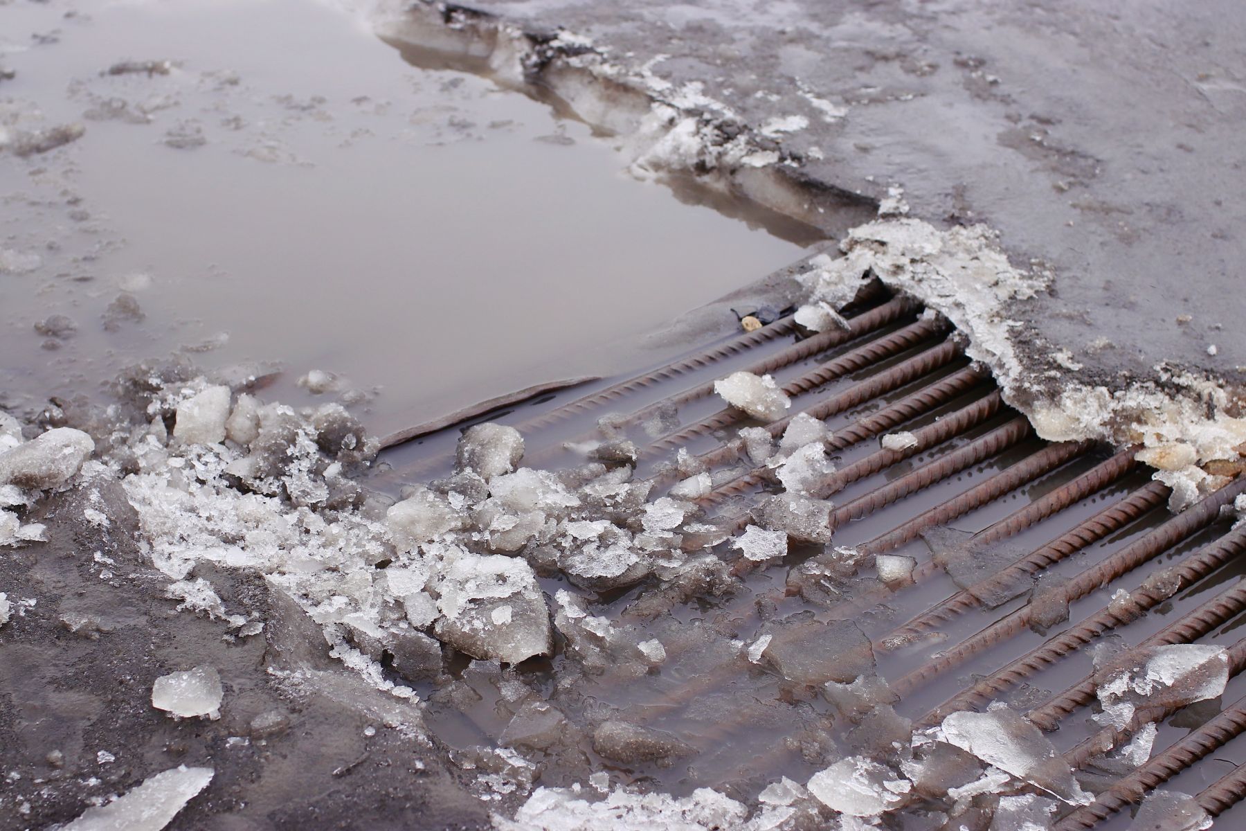 Работе ливневой канализации может помочь клумба с влаговпитывающими растениями