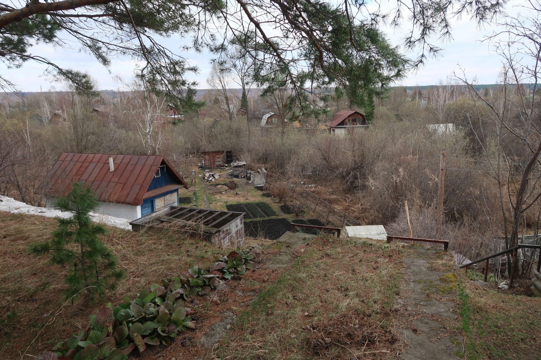 Сад. Огород. Дача