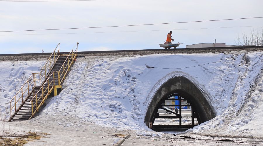 Голубой Дунай под контролем: как спасатели готовят Бийск к весеннему паводку