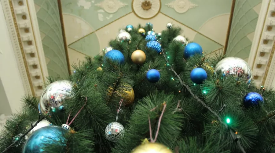 Алтайские школьники отправятся на новогоднюю елку в Москву