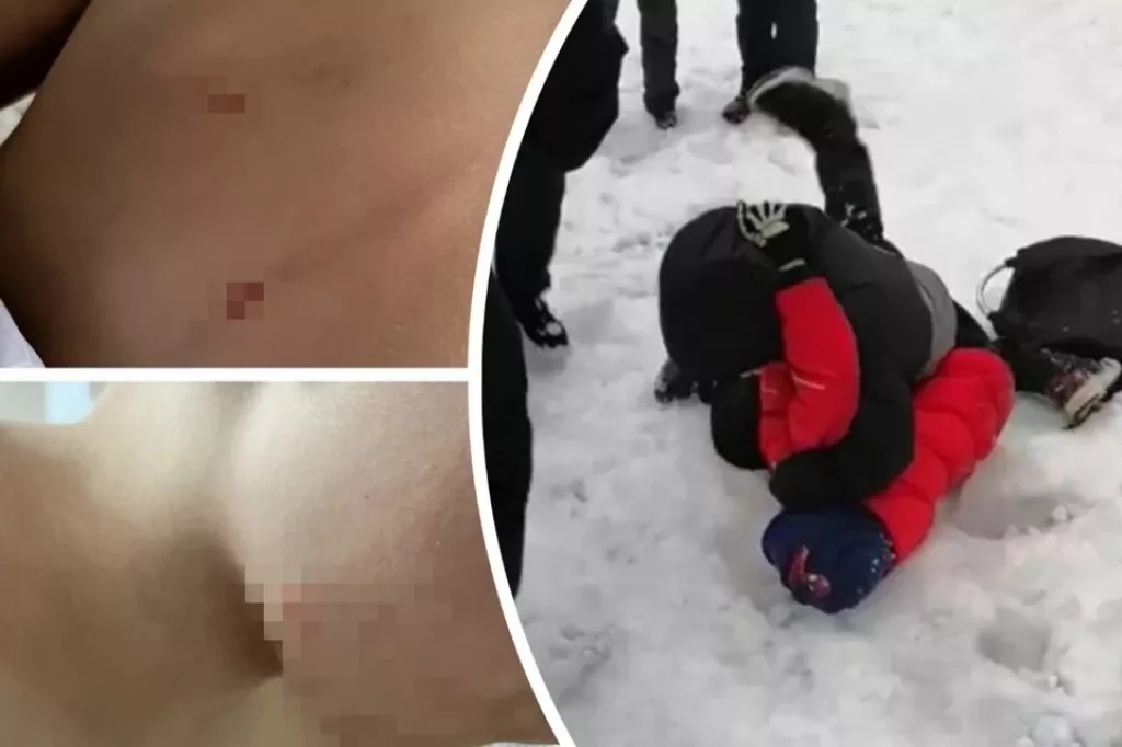 Жительница Новосибирска, чей сын стал жертвой травли, судится со школой - Информационный портал "Бийский рабочий", 02.04.2026