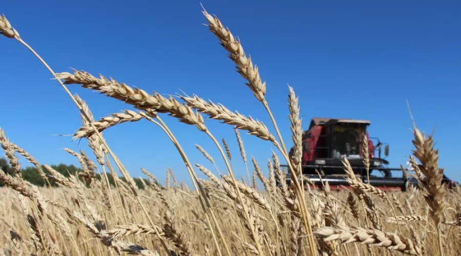 Небензя: Запад должен снять санкции с сельскохозяйственного экспорта РФ