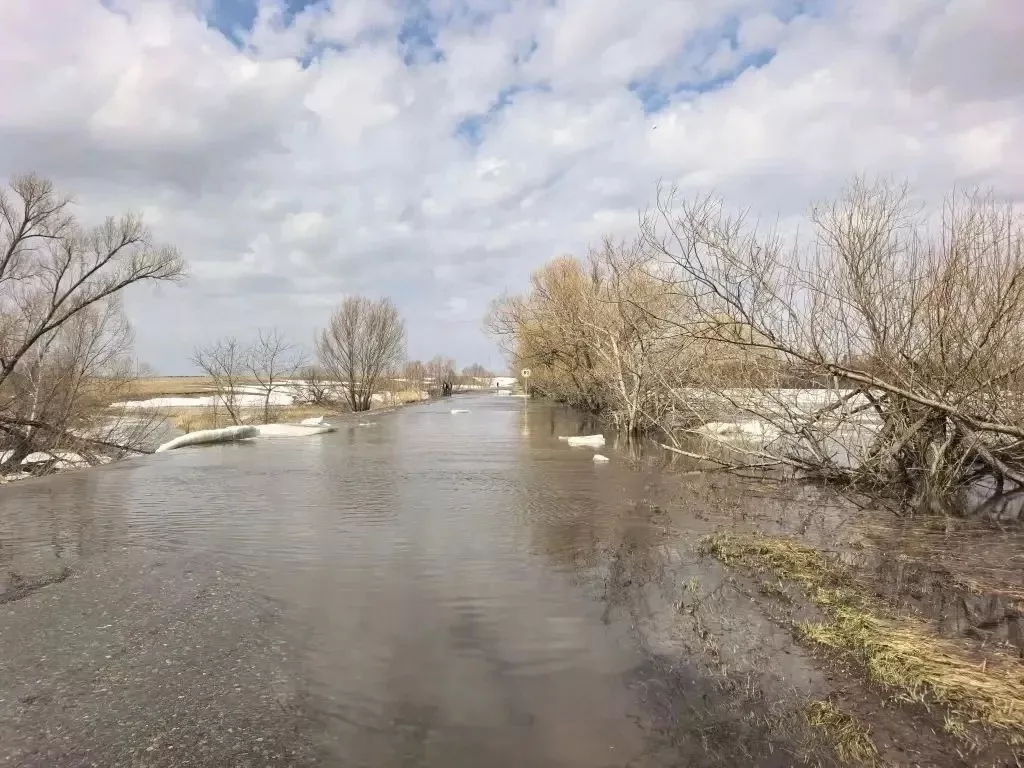 В Алтайском крае продолжают действовать ограничения для автотранспорта - Информационный портал "Бийский рабочий", 13.04.2026