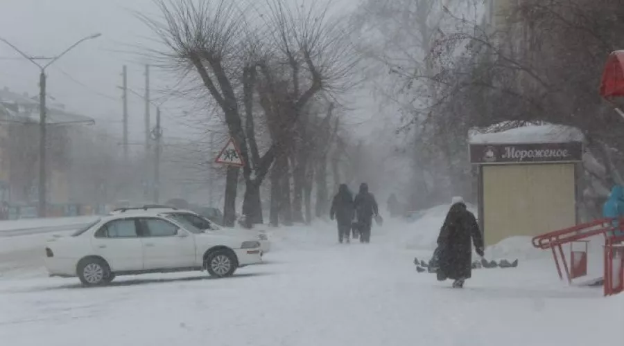 Порывы ветра до 20 м/с будут в Алтайском крае в понедельник