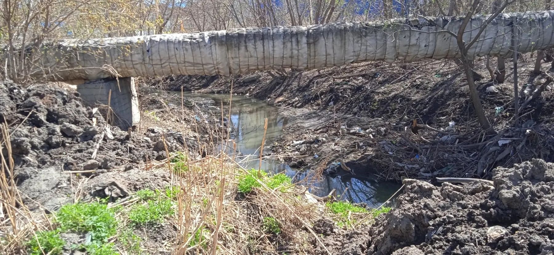«Превратился в помойку»: бийчане бьют тревогу из-за состояния «Голубого Дуная»