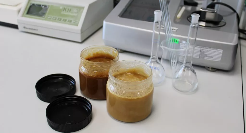 Партию фальсифицированного меда выявили алтайские специалисты - Информационный портал "Бийский рабочий", 28.04.2026