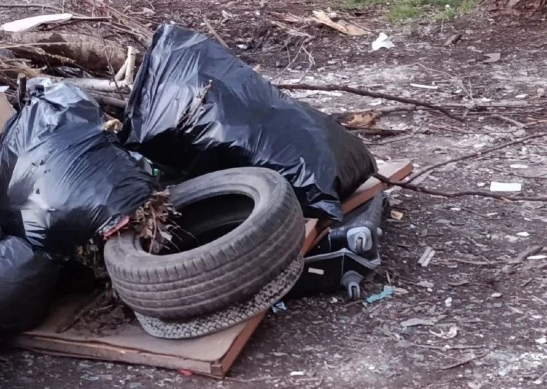 Бийчанам напомнили, можно ли выбрасывать покрышки в контейнеры и на площадки