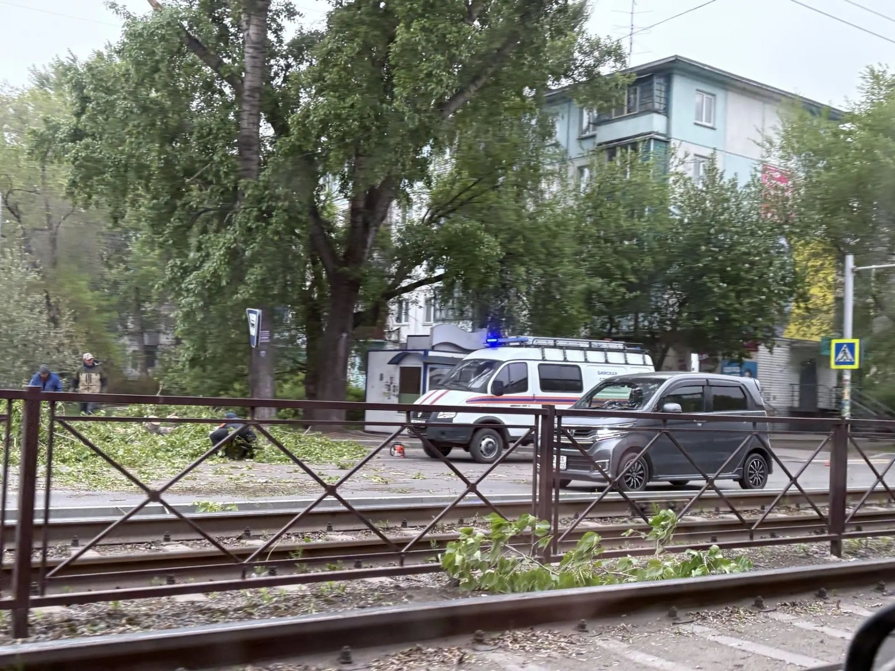 Бийская служба спасения убирает ветки с дороги 