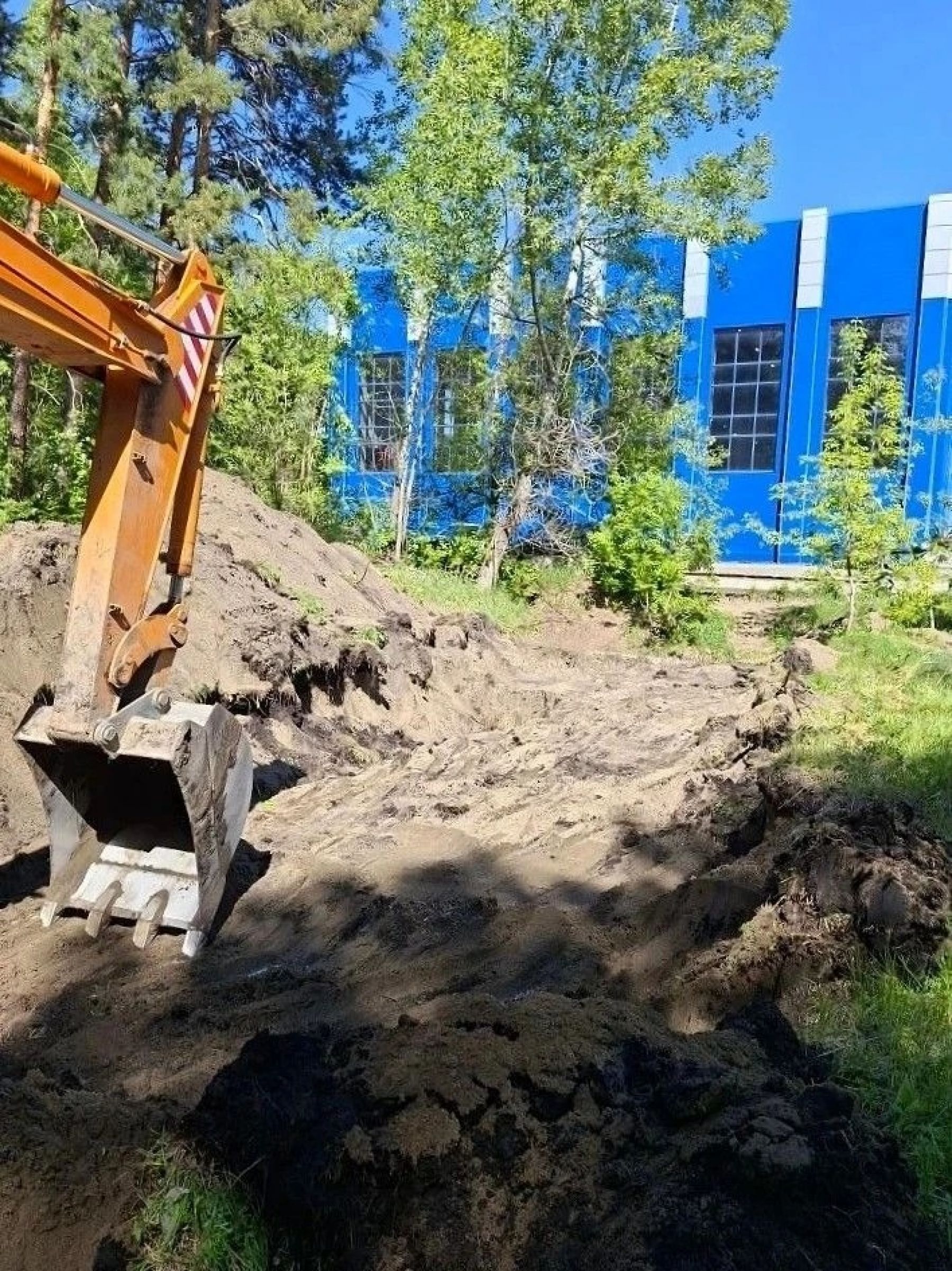 В Бийске в лесопарковой зоне квартала АБ сносят заброшенное бомбоубежище