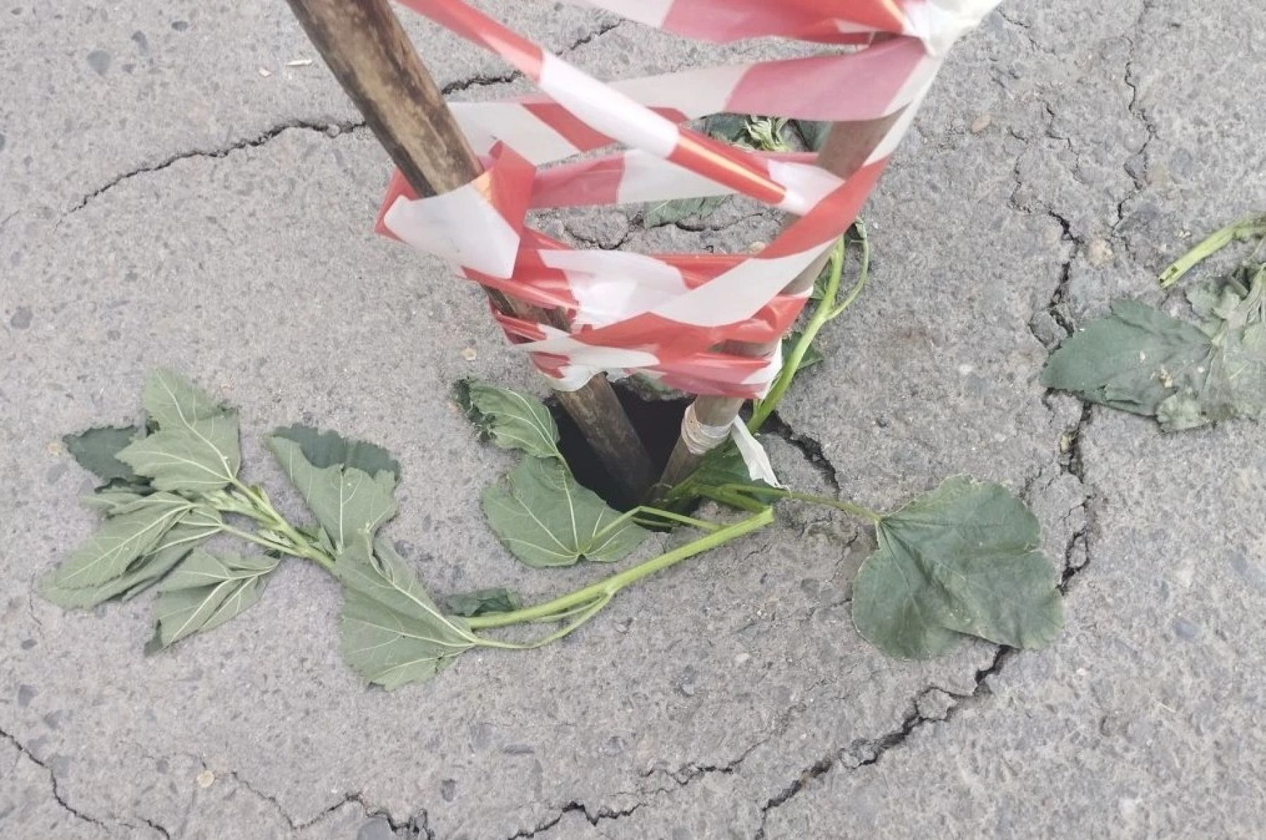 Провал образовался во дворе дома на Табачке. 
