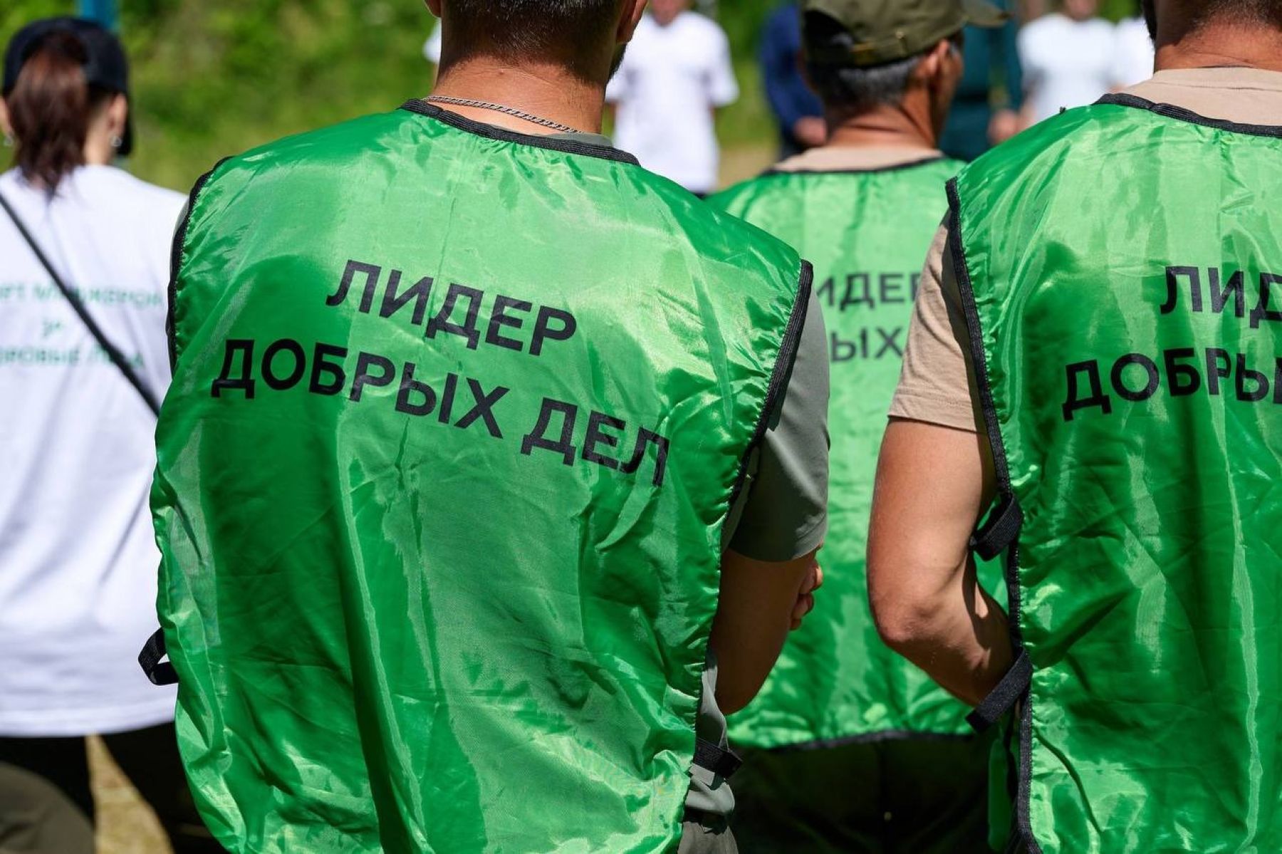 Уже высажены 4 тыс. молодых сосен