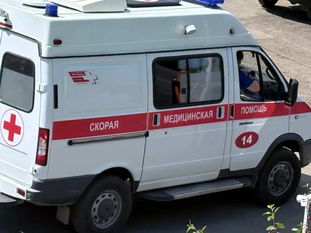 В Бийске ребенок попробовал неизвестную ягоду и попал в больницу - Информационный портал "Бийский рабочий", 08.07.2026