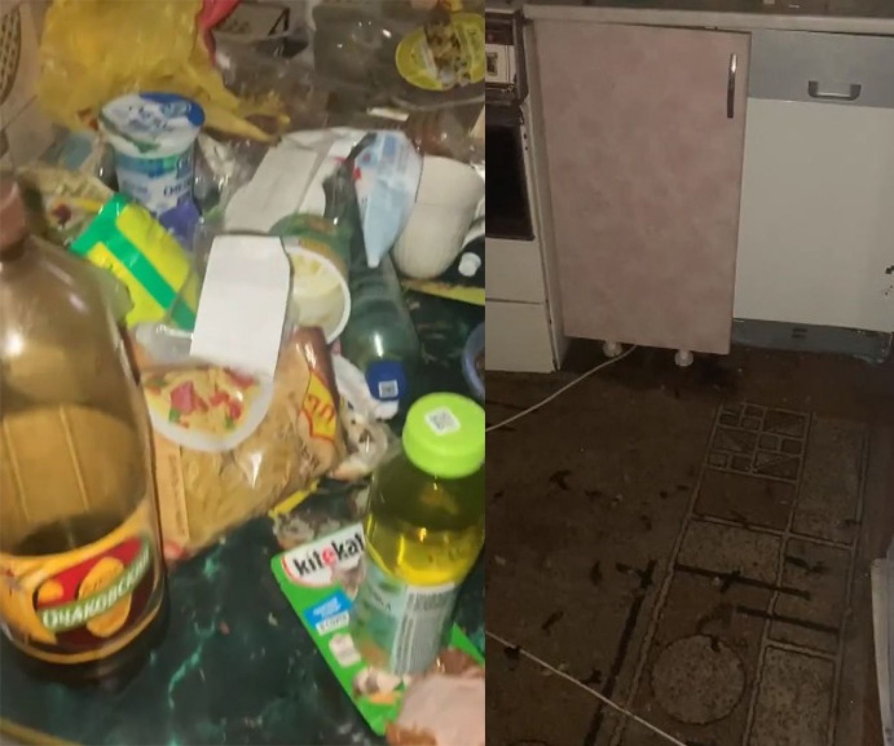 На кухне царит полный хаос, пол в фекалиях