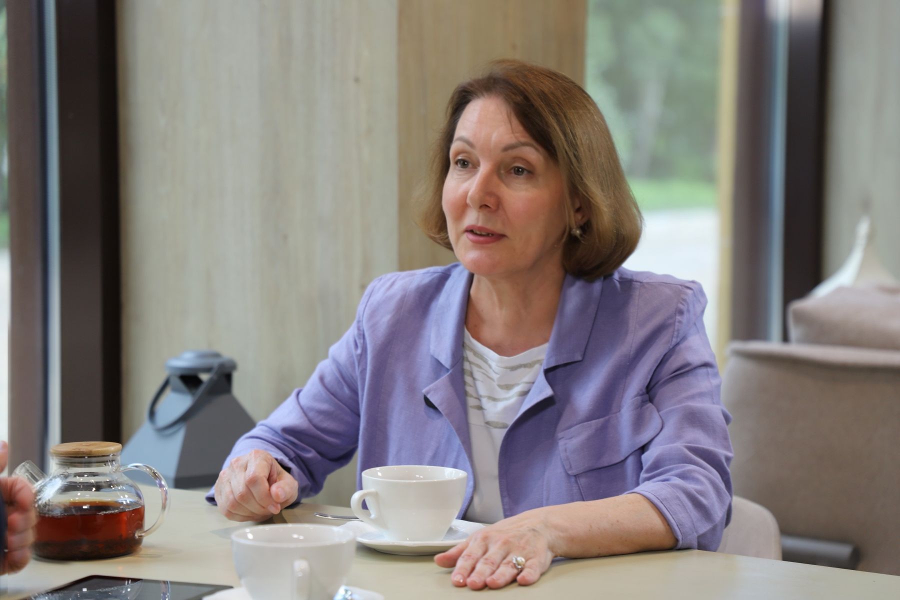 Елена Метель.