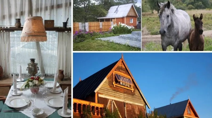 Алтайский край поддержит развитие сельского и социального туризма