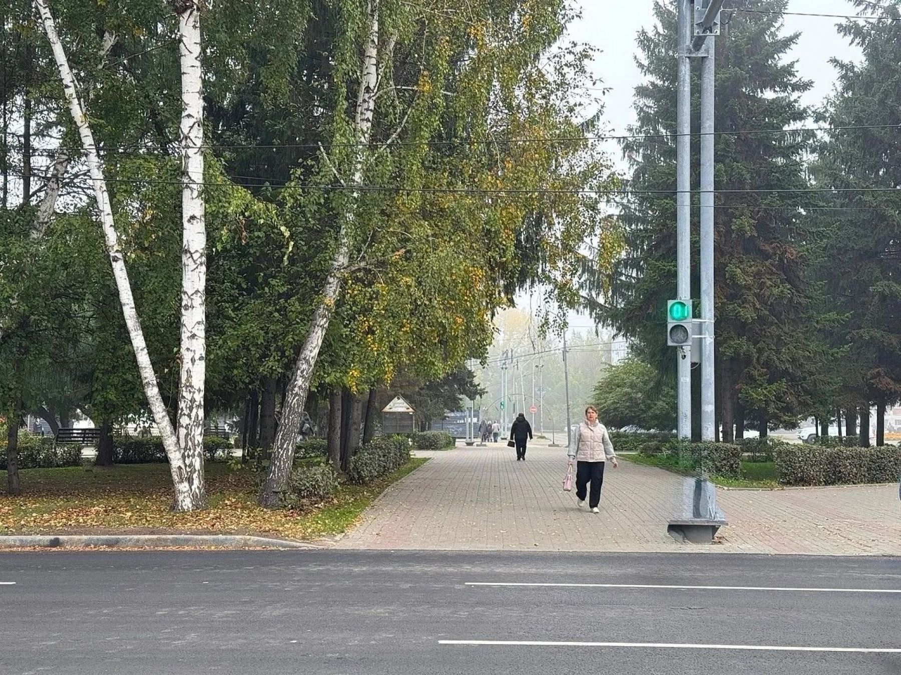 В Бийске на ул. Красноармейской установили два светофора вызывного действия