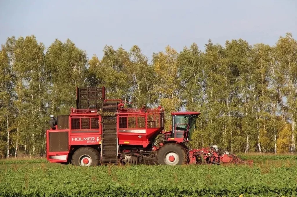 В Алтайском крае убрали 708 тыс. тонн сахарной свеклы В Алтайском крае убрали 708 тыс. тонн сахарной свеклы - Информационный портал "Бийский рабочий", 01.10.2026