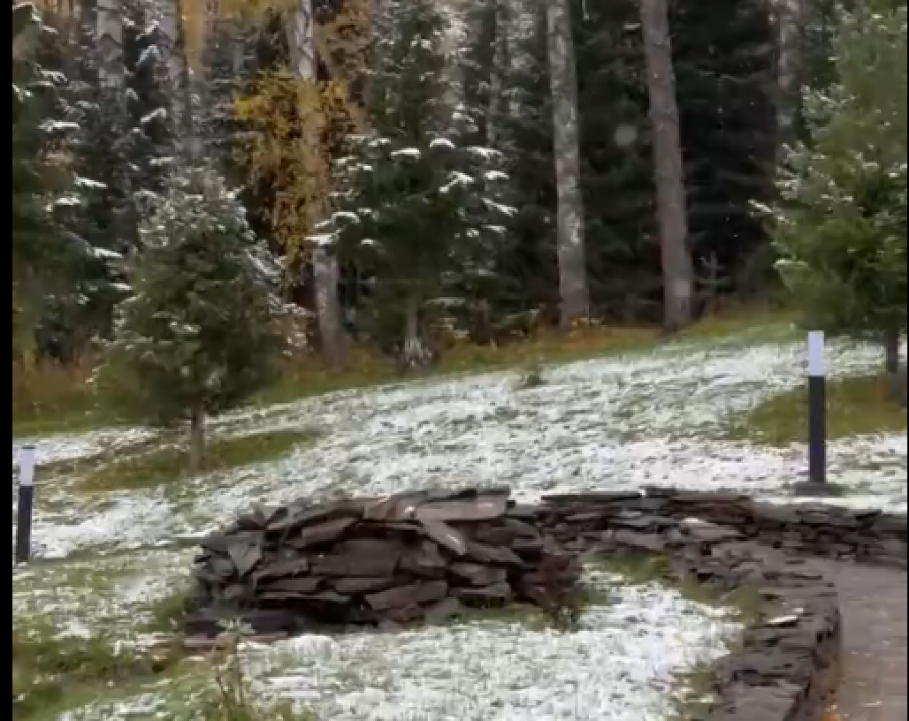 Снег в Белокурихе