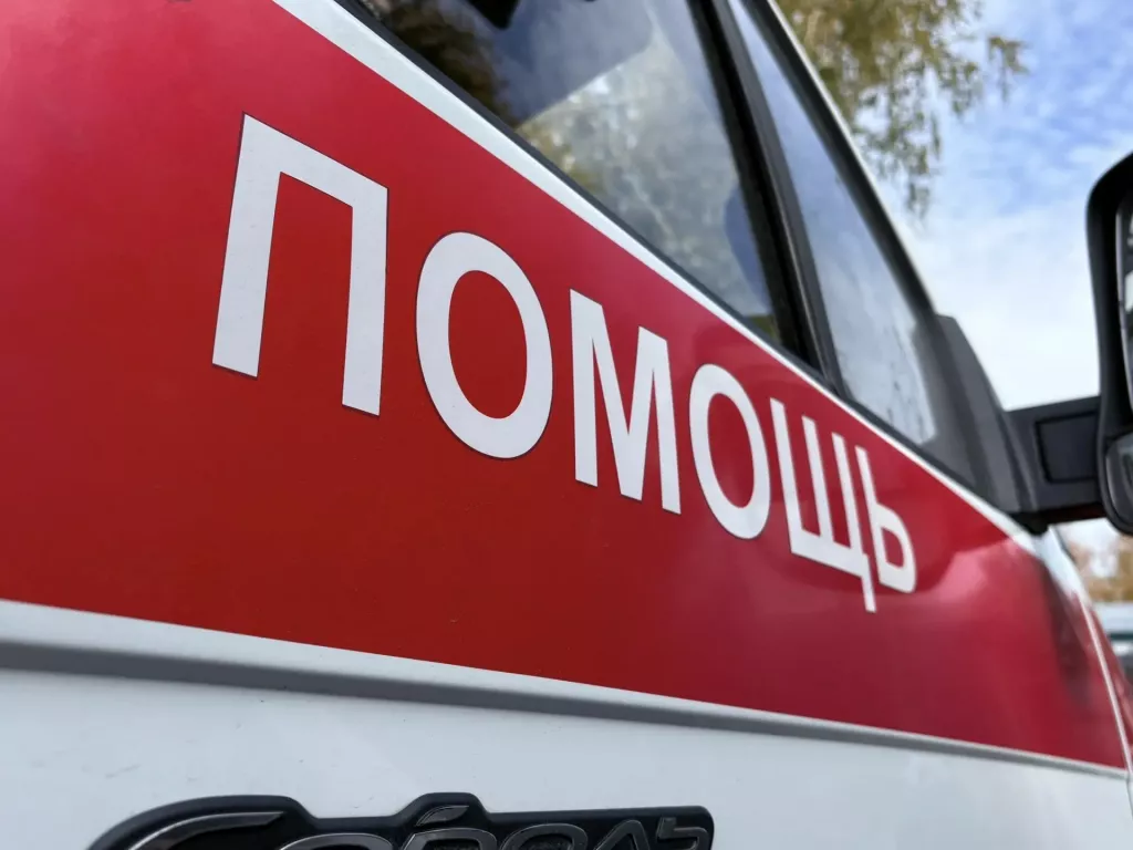 В Алтайском крае медведь напал на подростка В Алтайском крае медведь напал на подростка - Информационный портал "Бийский рабочий", 08.10.2026