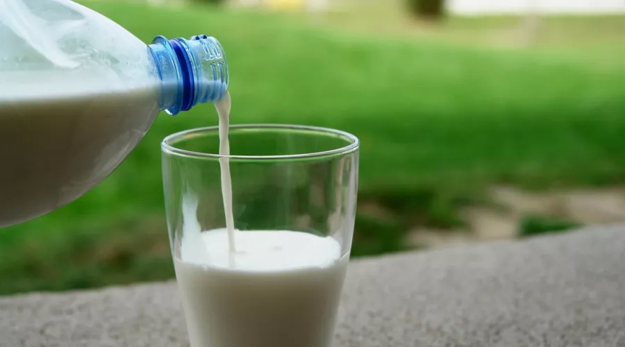 Бийчане могут пожаловаться на качество молока по «горячей линии» 