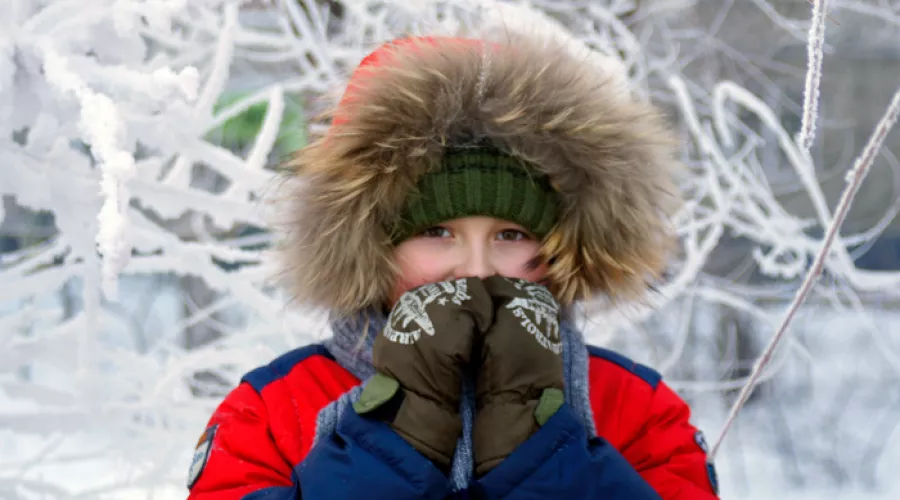 Холодает: во вторник в Алтайском крае ожидается мороз до -33