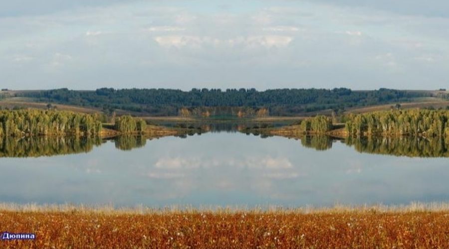 Алтайский край тогульский. Колонково Алтайский край Тогульский район. Ульяновский пруд Алтайский край Тогульский район. Тогульский район Алтайский край природа. Тогульский район Алтайский край озера.