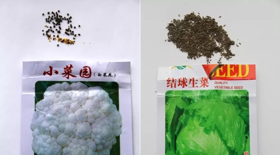 Некачественные китайские семена обнаружили на Алтайских рынках